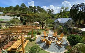 Berry Valley Homestay
